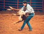 Calf being manhandled at a rodeo